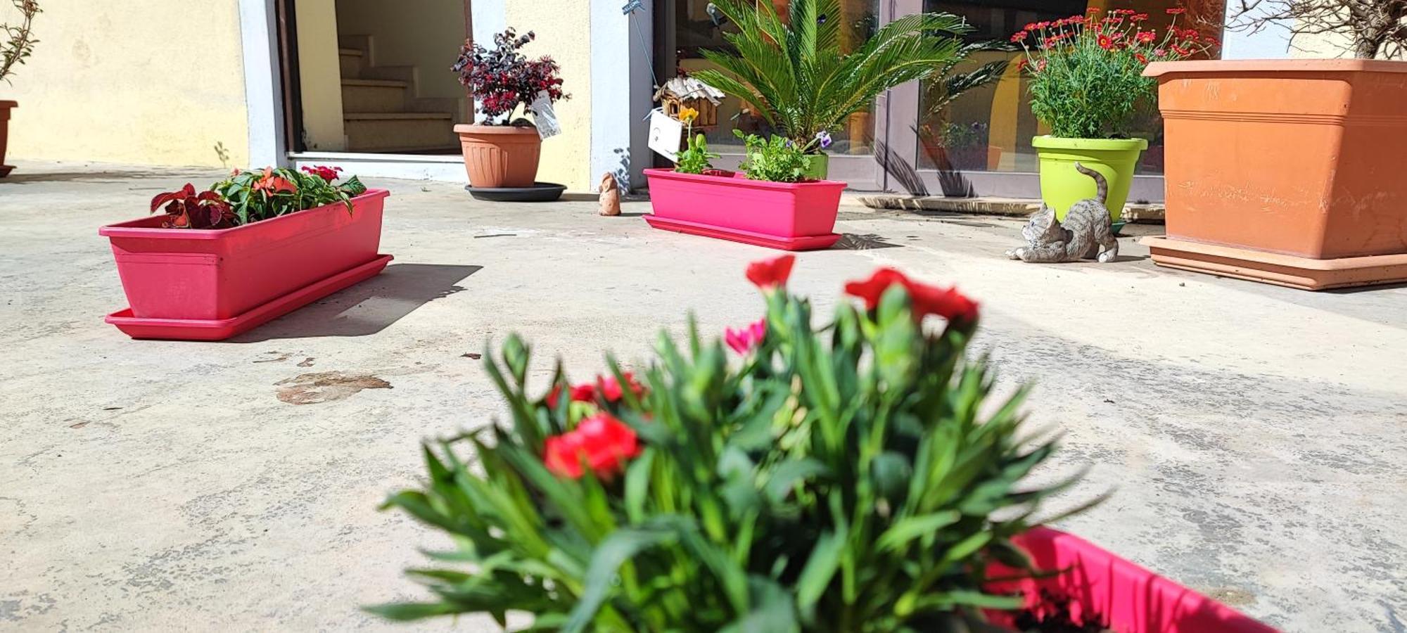 B&B Gioia Catanzaro Buitenkant foto
